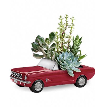 The Flower Box Kingsville - This Father's Day, get Dad's motor running with this collectible gift! In the perfect shade of poppy red, this classic ceramic '65 Ford Mustang presents an array of living succulent plants. What a beautiful, fun-filled display for dad's desk or bedroom!
