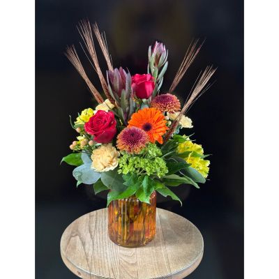 Fortin Gage Nashua - Your purchase helps animals find forever homes. 

Humane Society is our October nonprofit of the month. We are on a mission to build connection, spread kindness, and support our community. Join us to brighten your home – and our world – through your purchase of this arrangement.

10% of the proceeds of this arrangement will benefit the Humane Society.