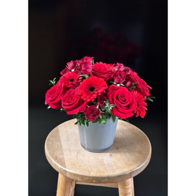 Fortin Gage Nashua - A perfect pairing of velvety red roses and mini gerbera daises complemented with spray roses and premium carnations. 