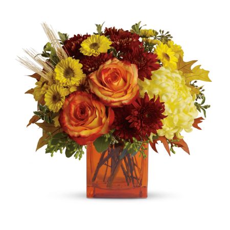 Flowers In Design Sacramento - Experience the enchantment of fall with Fantastic Fall, a stylish and contemporary arrangement that embodies the beauty of the season. This captivating ensemble features a blend of yellow cushion spray chrysanthemums, bi-color orange roses, rust cushion spray chrysanthemums, yellow disbud chrysanthemums, and yellow Viking spray chrysanthemums, artfully accented with assorted greenery. Delivered in an eye-catching orange cube vase, this arrangement stands approximately 13 inches tall. With our same-day flower delivery, you can effortlessly bring the warmth and vibrancy of Fantastic Fall into any space, making it a perfect choice for adding a touch of autumn elegance to your home or gifting it to someone special.