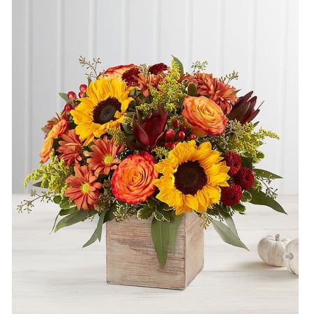 Madison Avenue Florist Sacramento - Immerse yourself in the rustic beauty of autumn with Harvest Glow, a farmhouse-style bouquet inspired by the color and charm of a country harvest. This arrangement features a loose, natural gathering of blooms in vibrant shades of red, orange, and yellow, creating a picturesque display that perfectly complements our rustic wooden cube. With the color and charm reminiscent of an autumn country harvest, Harvest Glow is a perfect choice for adding a touch of fall to any space. Enjoy the convenience of our same-day flower delivery, ensuring that this farmhouse-style bouquet graces your home promptly and infuses it with the warmth and beauty of the season.