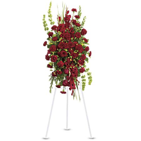 Orangevale Florist Sacramento - The "Care and Compassion Spray" is a beautiful and elegant funeral spray that expresses deep devotion and compassion. Displayed on a traditional easel, this arrangement features a striking array of red funeral flowers, including red roses, red gladioli, and red carnations. The addition of bells of Ireland, bupleurum, myrtle, and salal leaves enhances the overall beauty of the spray. The rich red hues symbolize love and respect, making this arrangement a fitting tribute to honor and remember a loved one.





