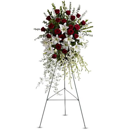 Orangevale Florist Sacramento - The arrangement is meticulously crafted to showcase the beauty and grace of each bloom, symbolizing love, purity, and remembrance. The red roses convey deep emotions and respect, while the white lilies symbolize the restored innocence of the departed soul. The cascading white orchids add a touch of sophistication and a sense of everlasting beauty. This floral tribute is not just a collection of flowers but a meaningful expression of sympathy and reverence. Placed on an easel, it becomes a focal point at the memorial service, offering comfort and solace to those in attendance. It's a fitting farewell that combines the timeless elegance of roses, lilies, and orchids to create a lasting memory.





