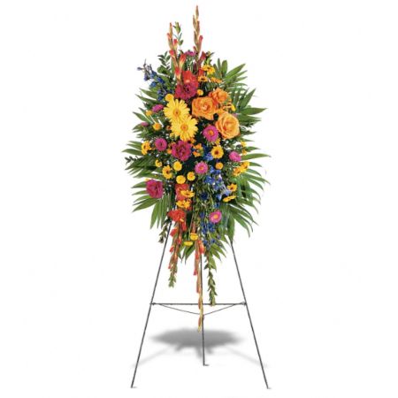 Orangevale Florist Sacramento - The "Celebration of Life" standing spray is a vibrant and uplifting arrangement designed to honor and celebrate the life of a loved one. This elegant display features a mix of flowers in bold and cheerful colors, including orange gladioli and roses, yellow gerberas, and hot pink asters. These flowers are expertly arranged on an easel, creating a beautiful and eye-catching tribute that stands approximately 18 inches tall. The choice of bright and lively blooms symbolizes the joy and vitality of the life being remembered, providing comfort and support to those who are grieving. Placed prominently at a memorial service, the "Celebration of Life" standing spray serves as a touching expression of love and remembrance.






