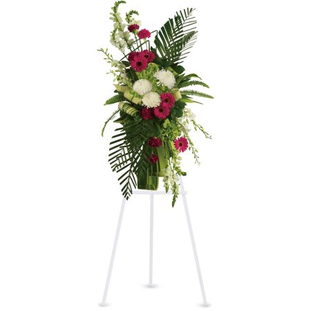 Orangevale Florist Sacramento - The "Gerberas and Palms Spray" is a poignant expression of respect and admiration during times of remembrance. This striking spray features a harmonious blend of red and white funeral flowers. The vibrant red gerberas and carnations beautifully contrast with the purity of white orchids, snapdragons, and chrysanthemums. The deep greens of tropical palm leaves provide a backdrop that enhances the overall visual impact of the arrangement. This thoughtful combination of flowers symbolizes the diverse emotions associated with honoring a cherished individual's memory. The "Gerberas and Palms Spray" serves as a heartfelt tribute, offering comfort and solace to those grieving the loss of a loved one. Displayed on an easel, it stands as a symbol of enduring respect and the celebration of a life well-lived.





