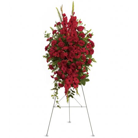 Orangevale Florist Sacramento - The Deep in Our Hearts Spray is a rich and radiant expression of sympathy, crafted with deep red roses, gladioli, and other popular red flowers. This thoughtfully designed spray is intended to convey a message of reassurance and hope during a challenging time of loss. The deep red hues of the flowers symbolize enduring love and profound emotions, offering solace to those grieving. Presented on an easel, this spray serves as a meaningful tribute to celebrate the cherished memories of a loved one. The carefully selected combination of red blooms creates a visual representation of the warmth and love shared with the departed, providing comfort to those who are mourning. The "Deep in Our Hearts Spray" is a beautiful and heartfelt way to express condolences and share in the remembrance of a life well-lived.





