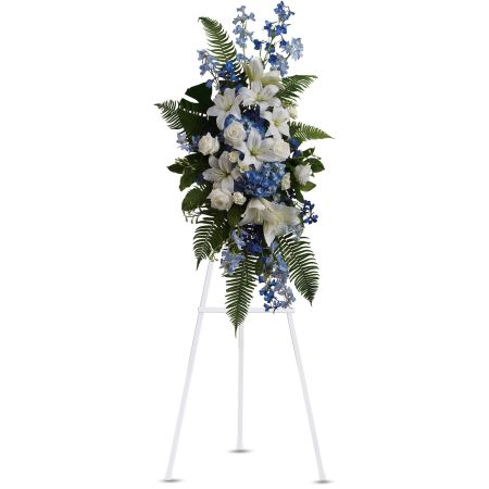 Orangevale Florist Sacramento - The "Ocean Breeze Spray" by Teleflora is a heartfelt and elegant tribute designed to express deep condolences and convey admiration, affection, and respect. This spray is crafted with a thoughtful selection of flowers that evoke the serene and calming essence of an ocean breeze. The arrangement may feature a combination of soothing blue and green blooms, symbolizing tranquility and hope for the future. Presented on an easel, the "Ocean Breeze Spray" serves as a beautiful and meaningful expression of sympathy during a difficult time of loss. Its gentle colors and graceful design offer comfort to those grieving, providing a source of solace and a tribute to the cherished memories of the departed.