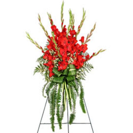 Orangevale Florist Sacramento - The "FOREVER FLAME Funeral Flowers" is a poignant and expressive arrangement featuring red gladiolus, conveying deep emotions and sentiments during a difficult time. The use of red flowers symbolizes love, respect, and the enduring flame of memories that will forever burn bright in the hearts of those left behind. The arrangement serves as a beautiful tribute to honor and remember the departed, offering comfort and support to grieving friends and family. It's a thoughtful choice for expressing condolences and providing a visual representation of everlasting love and remembrance. Please note that availability of other colors may be confirmed by contacting the florist directly.





