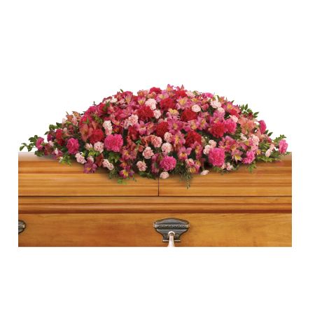 Flowers In Design Sacramento - As a tribute to a special person who has passed, this magnificent cascade of pink Carnations and Peruvian lilies. A fan favorite and testament of profound and lasting love. Approx 45 inched long, designed for a closed lid service. This can be designed for an open lid service. See options at purchasing
