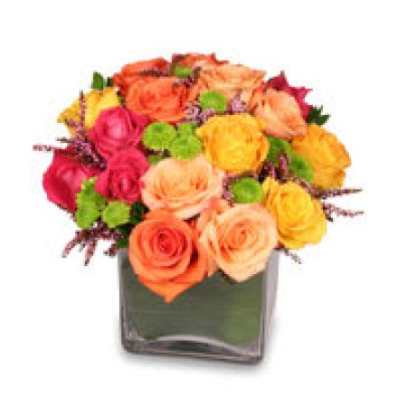 Madison Avenue Florist Sacramento - An awesome mix of colorful pink, orange and yellow roses. You can always create your own energy and select the colors yourself for your special someone. There are 2 dozen roses in this beauty! A Great choice for an office delivery or apartment!