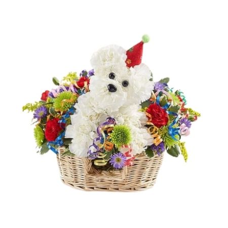 Conroy's Florist & Flower Delivery Mission Viejo - EXCLUSIVE Turning another year older is a lot more fun with our signature birthday a-DOG-able®! This party pooch arrives wearing a festive hat, surrounded by a mix of colorful blooms to liven up their celebration. A great gift idea for any age, he's here to deliver your best wishes in truly original style.