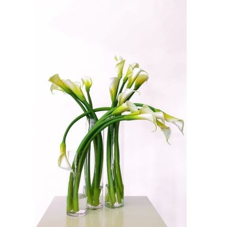 Conroy's Florist & Flower Delivery Mission Viejo - Peaceful white calla lilies avant garde design in 3 tall cylinders adds surprise and sopistication to any setting. 