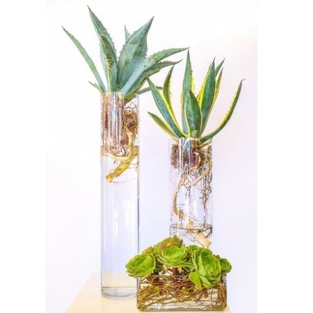 Conroy's Florist & Flower Delivery Mission Viejo - .