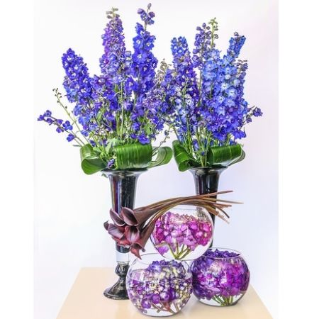 Conroy's Florist & Flower Delivery Mission Viejo - .