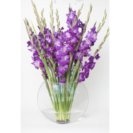 Conroy's Florist & Flower Delivery Mission Viejo - Gorgeous purple gladioulus in a clear glass fish eye vase \tCONROY'S CUSTOM DESIGN BY YANG, WILL CALL OR LOCAL DELIVERY ONLY
