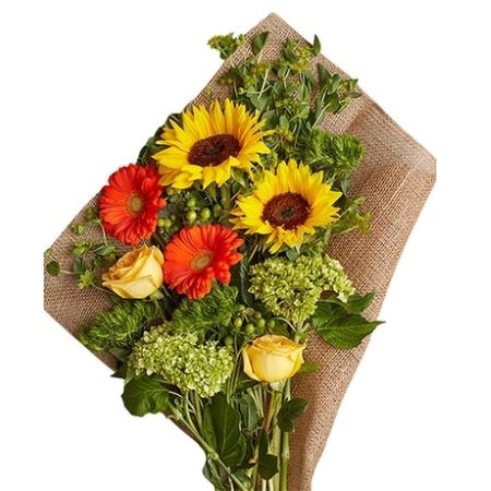 Conroy's Florist & Flower Delivery Mission Viejo - .