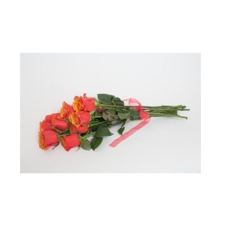 Conroy's Florist & Flower Delivery Mission Viejo - Attractive bouquet of 10 coral roses\tCONROY'S SPECIAL Will call or Local Delivery only
