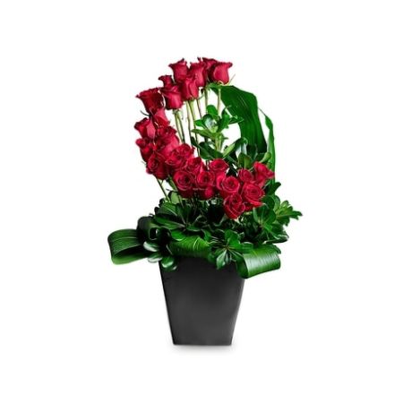 Conroy's Florist & Flower Delivery Mission Viejo - You would do anything for her. You Complete Me will show her she is the one that makes you complete. 32 Red Freedom Roses arranged as a trophy in this black vase will say it all. 
