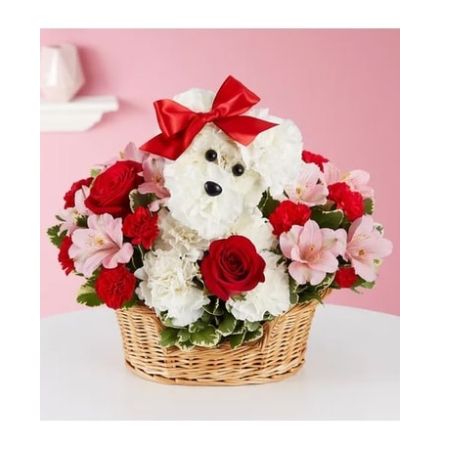 Conroy's Florist & Flower Delivery Mission Viejo - Talk about puppy love! Crafted from lasting white carnations, our canine cutie is sitting pretty in a dog bed basket, surrounded by a mix of red and pink blooms. The perfect pick to spark romance or celebrate a special relationship.