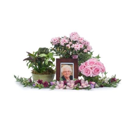 Conroy's Florist & Flower Delivery Mission Viejo - This collection of plants and flowers will make a special tribute to a lovely lady.