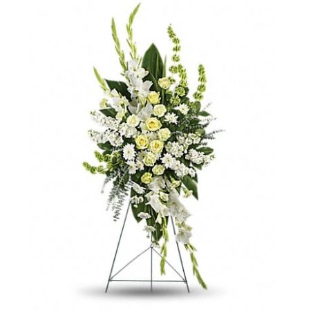 Conroy's Florist & Flower Delivery Mission Viejo - A magnificent symbol of love and peace, this pure white and green spray conveys your sympathy with elegance and grace. 