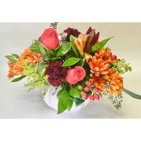 Conroy's Florist & Flower Delivery Mission Viejo - Elevate your autumn celebrations with this enchanting combination of fall roses and mums, beautifully presented in a white ceramic pumpkin. This keepsake container is destined to be a treasured annual decoration. The display showcases radiant orange roses, fiery orange alstroemeria, petite maroon carnations, and golden yellow viking daisy spray chrysanthemums. Enhancing the arrangement are delicate white waxflowers, rich red cottage yarrow, huckleberry, grevillea, shimmering brown copper beech, and preserved golden oak leaves.