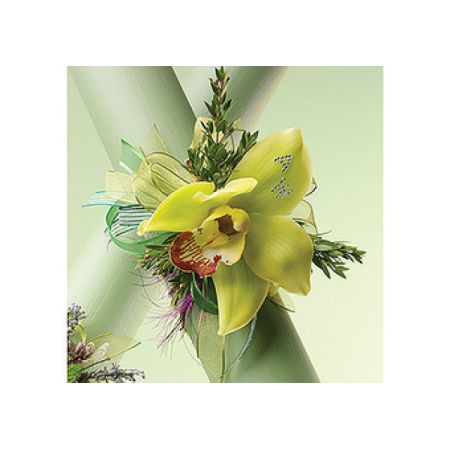 Conroy's Florist & Flower Delivery Mission Viejo - Crafted with meticulous attention to detail, our wrist corsage showcases pristine white cymbidium orchids. Delicately arranged and accented with subtle greenery, the corsage is designed to elegantly encircle the wrist. The 2 line rhinestones wristle ensures a comfortable and secure fit, allowing the wearer to showcase the beauty of these exquisite orchids. NEED TO ORDER 3 DAYS IN ADVANCE PLEASE.