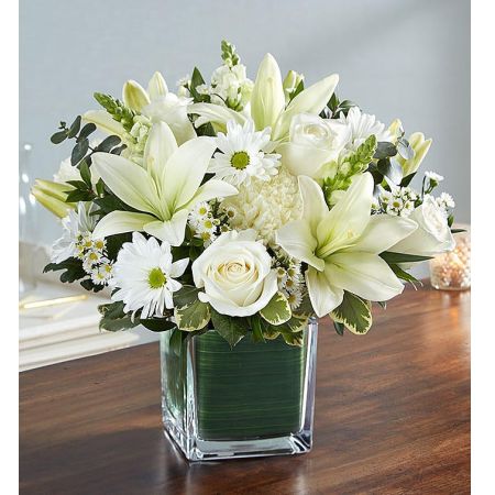 Conroy's Florist & Flower Delivery Mission Viejo - There is an innocence to all souls that is evoked in an expression of pure white. Our sympathy arrangement of angelic white roses, lilies, mums, daisy poms and more, expertly arranged in a clear glass cube lined with a Ti leaf ribbon, makes for an exquisite gesture of comfort and healing.