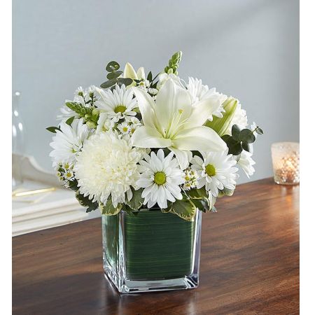 Healing Tears™ All White