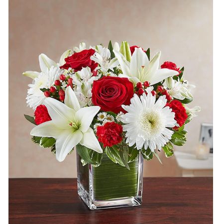 Healing Tears™ Red & White