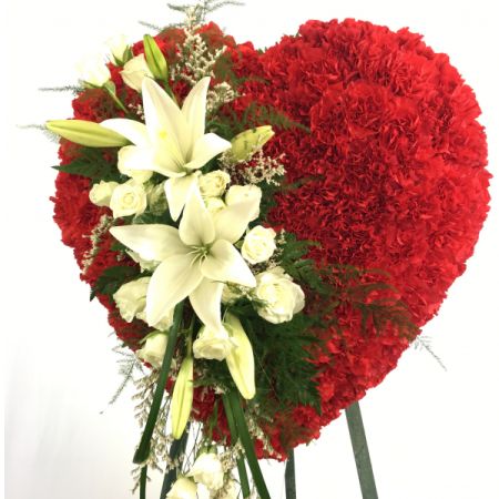 Conroy's Florist & Flower Delivery Mission Viejo - This solid red heart made of carnations is accented by a cluster of white flowers.( Colors can be changed as requested). <br>
Approx. Height is 24" x 22" Wide 
