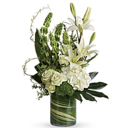 Conroy's Florist & Flower Delivery Mission Viejo - T283-4A Botanical Beauty Bouquet

Discover the elegance of the T283-4A Botanical Beauty Bouquet, a contemporary arrangement featuring white hydrangeas, green roses, white Asiatic lilies, and green trick dianthus. Complemented with bells of Ireland, green button spray chrysanthemums, and an array of lush foliage including curly willow, oregonia, and variegated aspidistra leaves, this bouquet brings a sophisticated botanical flair to any space. Perfect for those seeking a modern touch with their floral purchases. Delivered in a cylinder vase. Approximately 18 1/2 W x 27 