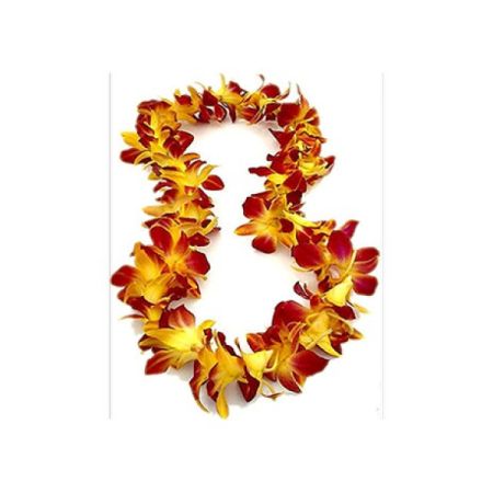 Conroy's Florist & Flower Delivery Mission Viejo - "Add a vibrant touch to any celebration with our Red and Yellow Orchid Lei. Featuring stunning red and yellow orchids, this handcrafted lei is perfect for graduations, weddings, and special events. Elevate your occasion with this eye-catching and elegant floral accessory."