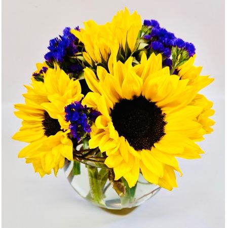 Conroy's Florist & Flower Delivery Mission Viejo - "Sunlit Violet Breeze" features vibrant sunflowers surrounded by clusters of purple statice in a clear bubble bowl, radiating warmth and elegance. This arrangement captures the essence of sunny days and blooming gardens, offering a delightful burst of color and joy.