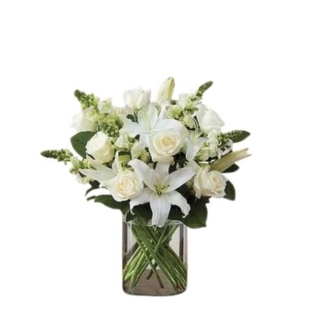 Conroy's Florist & Flower Delivery Mission Viejo - White flowers have a timeless elegance, which is captured in our luxurious all-white arrangement. A soft yet poignant mix of roses, lilies and snapdragons is hand-gathered by our expert florists with touches of lush greenery inside a stylish cylinder vase. What more beautiful gift to express your love, thanks, appreciation, support — whatever is on your mind and in your heart.

All-around arrangement with white roses, lilies and snapdragons; accented with greenery
Artistically designed in a classic glass cylinder vase; measures 8"H
Large arrangement measures approximately 20"H x 20"L
Medium arrangement measures approximately 19"H x 16"L
Small arrangement measures approximately 18"H x 14"L
Our florists hand-design each arrangement, so varieties and container may vary due to local availability
To ensure lasting beauty, lilies may arrive in bud form, and will fully bloom over the next few days
