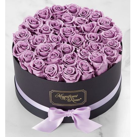 Magnificent Roses® Preserved Lavender Roses