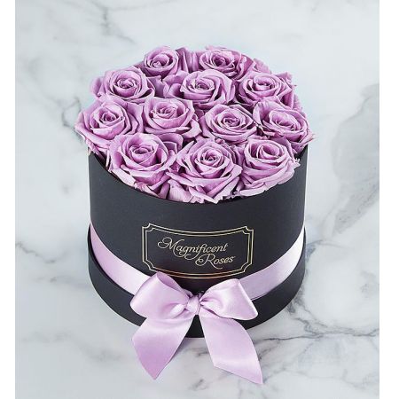 Magnificent Roses® Preserved Lavender Roses