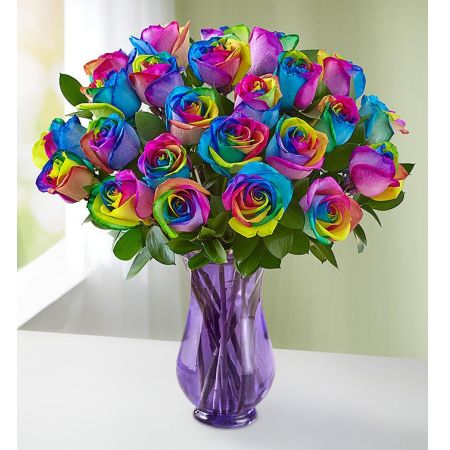 Kaleidoscope Roses