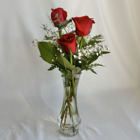 Conroy's Flowers Cypress Cypress - 4078364