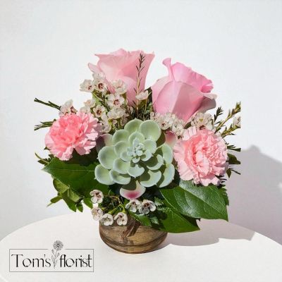 Tom's Florist Smyrna - Imagine a peaceful garden situated on a rolling country hillside...that's exactly what this pretty combination of succulents, roses, waxflower and carnations brings to mind. Finishing the look beautifully is a clear glass cylinder vase. Succulent styles may vary based on availability. 
