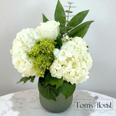 Tom's Florist Smyrna - A quiet tribute to nature’s elegance. Meadow Mist features soft white hydrangeas, green mini hydrangea, and sprigs of fresh eucalyptus — all arranged in a petite green ceramic vase that echoes the calm of open fields and early morning fog. Perfectly sized for a nightstand, desk, or side table, this arrangement brings a breath of freshness and a whisper of tranquility to any space.