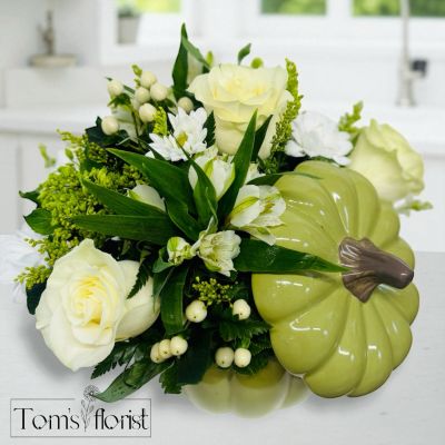 Tom's Florist Smyrna - Embrace the quiet beauty of fall with this elegant arrangement featuring a soft green pumpkin overflowing with creamy white roses and delicate green mini hydrangeas. Soft Sage Harvest blends natural textures and subtle tones for a timeless autumn look