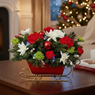 Tom's Florist Smyrna - Send holiday joy their way! Our dashing arrangement is filled with classic Christmas-colored blooms and fragrant evergreens.