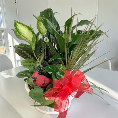 Tom's Florist Smyrna - .