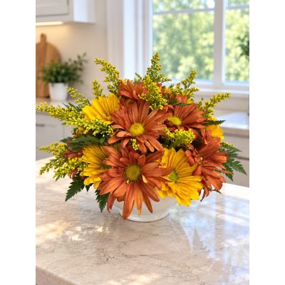 Tom's Florist Smyrna - This mini arrangement in a white dish consists of golden and orange daisies, which is perfect for a cozy addition to your home for fall.