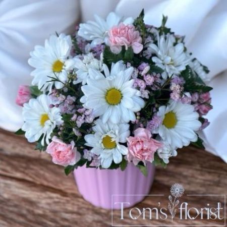 Tom's Florist Smyrna - Celebrate the joy of a new arrival with New Beginnings Pink—a soft, sweet floral arrangement designed to welcome baby girls with love. Nestled in a charming pink plastic pot, this bouquet is a beautiful gesture for proud parents and growing families.

- The Standard size features a delicate mix of white daisies, pink mini carnations, and pink wax flower, creating a gentle, cheerful display.

- The Deluxe size adds lush full-size pink carnations for an extra layer of fullness and color.

- The Premium size takes it a step further with elegant pink roses, making it a truly memorable gift.

Perfect for hospital deliveries, baby showers, or nursery décor, New Beginnings Pink is a thoughtful way to mark life’s sweetest milestone.

