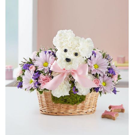 Tom's Florist Smyrna - When it comes to new baby gifts, our truly original arrangement is the pick of the litter! Fresh white carnations are expertly crafted in the shape of an adorable dog, surrounded by a mix of fresh, colorful blooms and nestled inside a charming basket. Choose “baby girl” or “baby boy” for a sweet surprise that’ll leave the new parents smiling.

- One-sided, 3D arrangement with white carnations crafted in the shape of a dog complete with eyes and nose; surrounded by a mix of lavender daisies, light pink mini carnations and purple monte casino; accented with assorted greenery and pink bow
- Arrangement measures approximately 11"H x 11"W
- Artistically designed in our lined wicker pet basket
- Our florists hand-design each arrangement, so colors and varieties may vary due to local availability