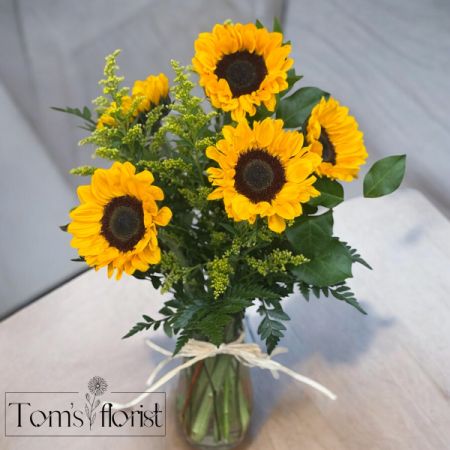 Sunflower Fields