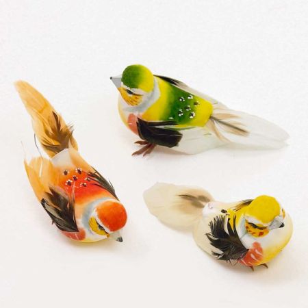 Assorted Bird Pick Addon
