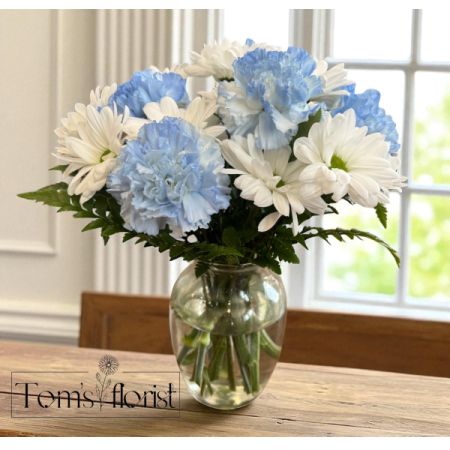 Tom's Florist Smyrna - Welcome a little bundle of joy—or brighten someone’s day—with our Baby Blue Bouquet arrangement. This cheerful bouquet features fresh white daisies paired with soft carnations delicately misted in baby blue, creating a soothing and uplifting display. Whether you’re celebrating a new baby boy, sending well wishes, or simply sharing a moment of joy, this sweet arrangement delivers a gentle touch of happiness.

Perfect for: New baby arrivals, birthdays, get well soon, or just because.